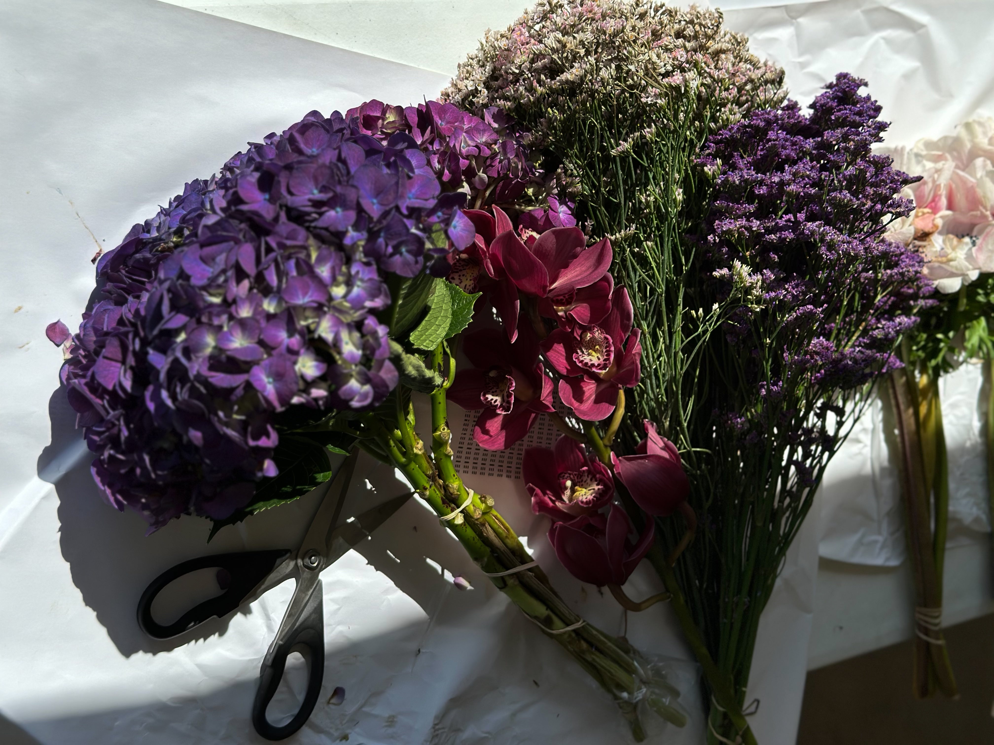 In Bloom: Celebrating Strength, Beauty & Elegance on International Women’s Day - Belaré Home