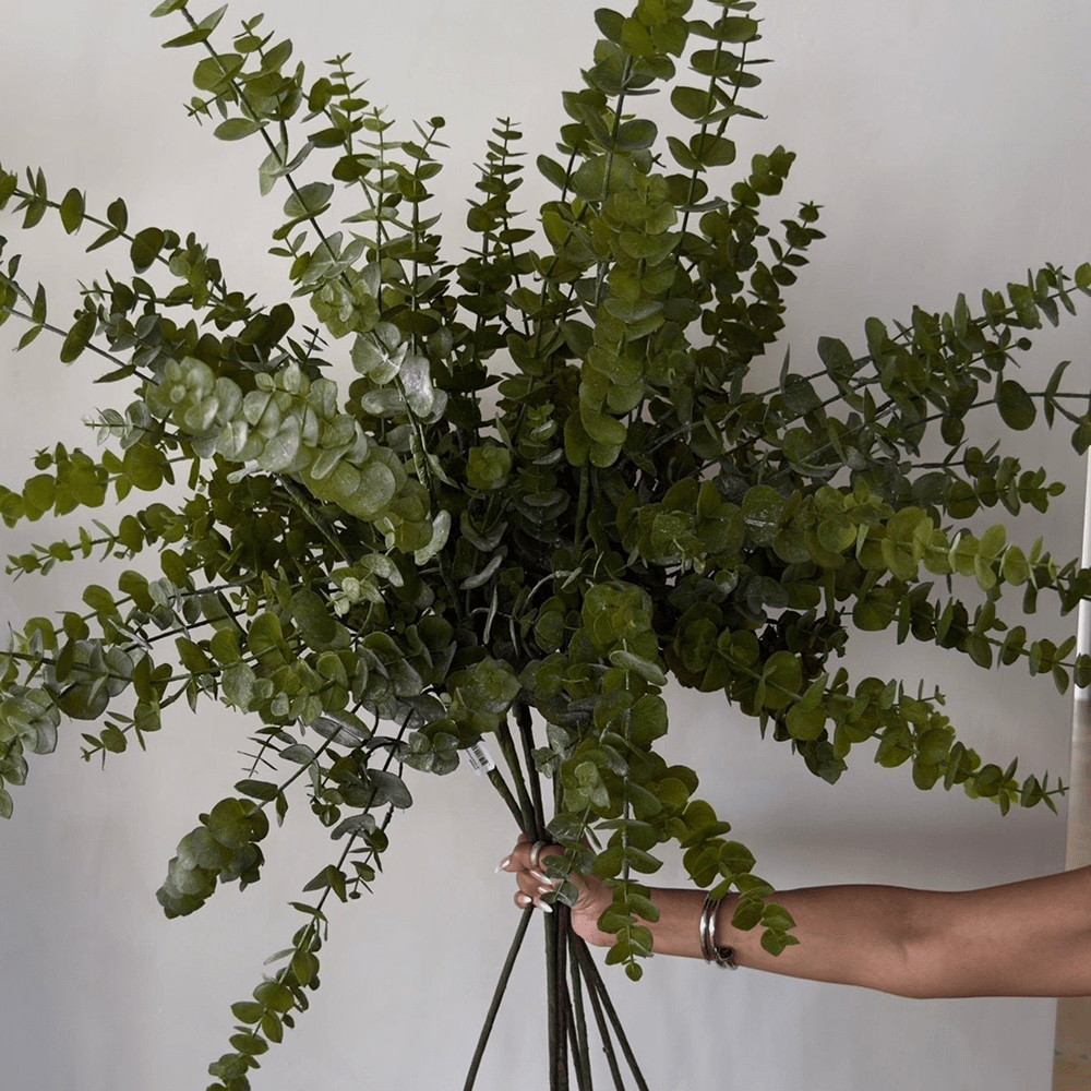Delamo Vase & Eucalyptus Styling Bundle - Belaré Home