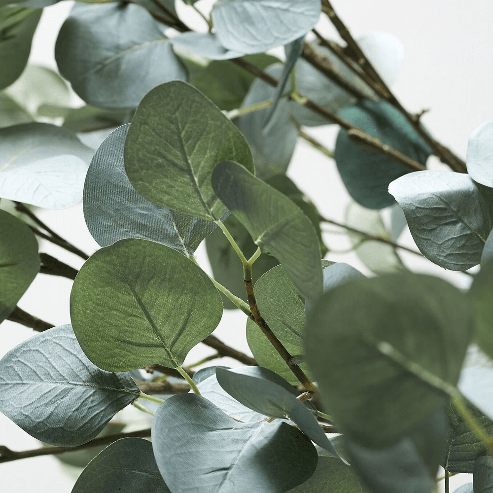 Delamo Vase & Eucalyptus Styling Bundle - Belaré Home