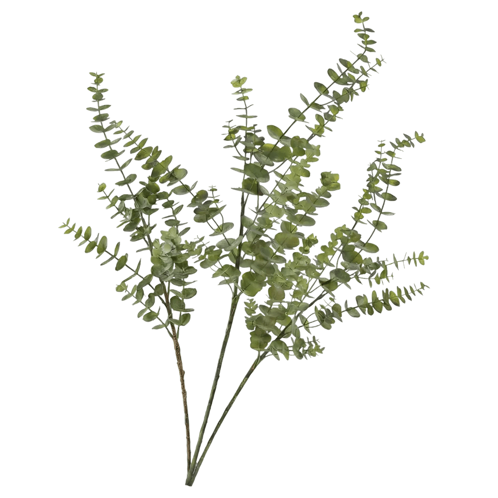 Delamo Vase & Eucalyptus Styling Bundle - Belaré Home