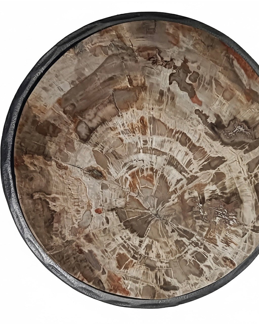 Adelle Iron Petrified Wood Accent Table - Belaré Home